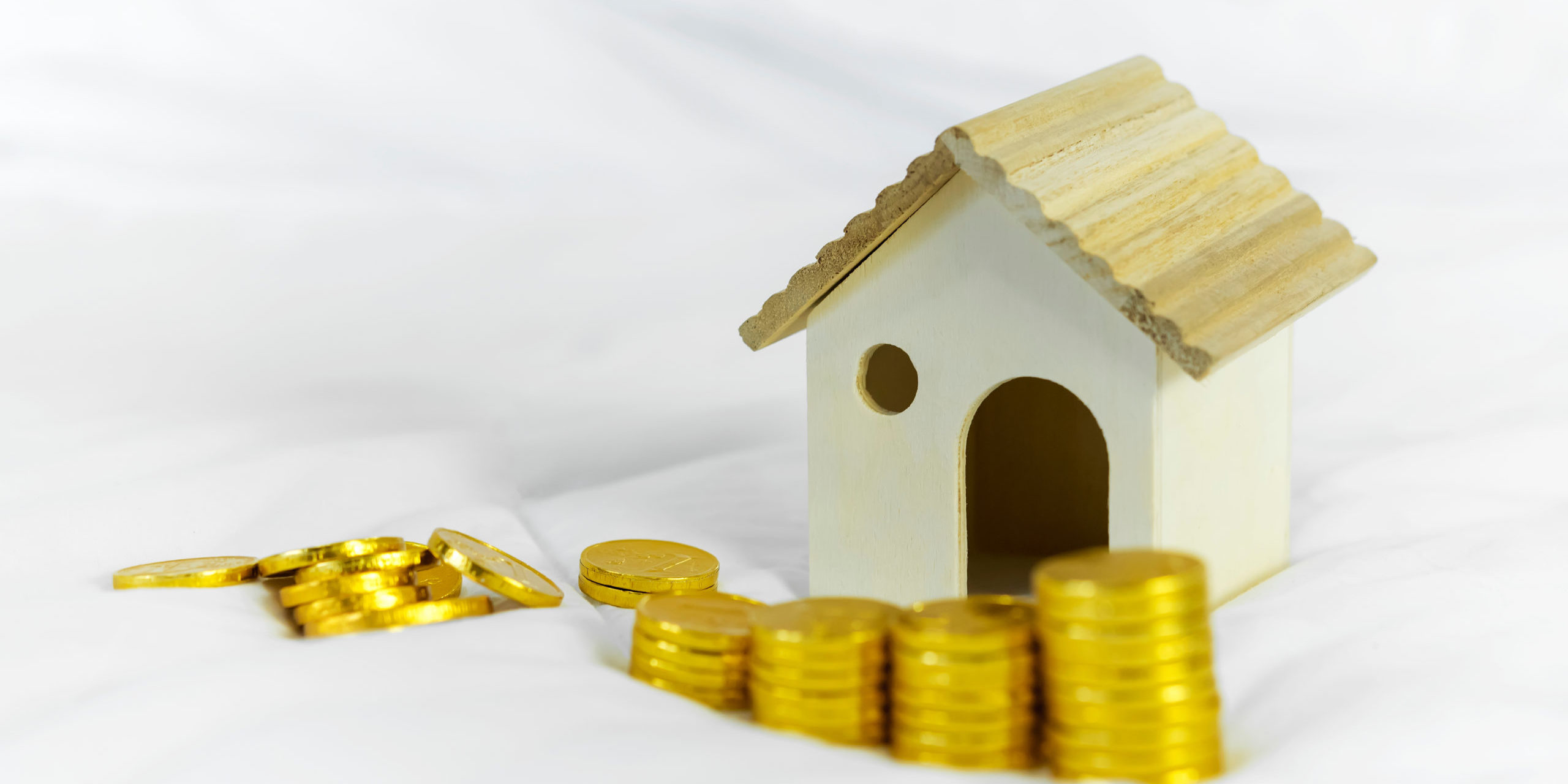 Business, finance and investment, money loan, planing  and savin